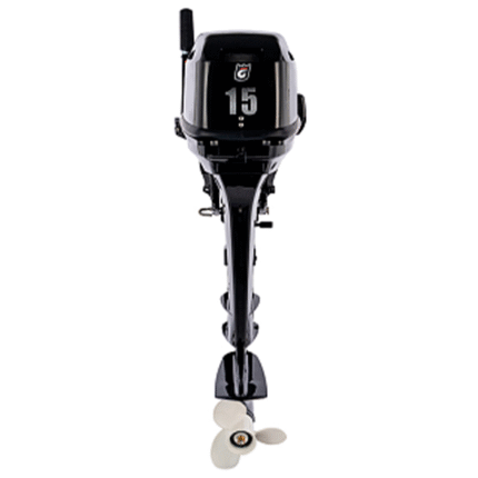 0cfqo90nwiloe45oao1vv0js4dw0s6md Лодочный мотор GOLFSTREAM F 15 BMS