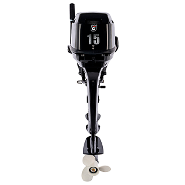 0cfqo90nwiloe45oao1vv0js4dw0s6md Лодочный мотор GOLFSTREAM F 15 BMS