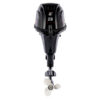 1 Лодочный мотор GOLFSTREAM F 20 AFWL-EFI