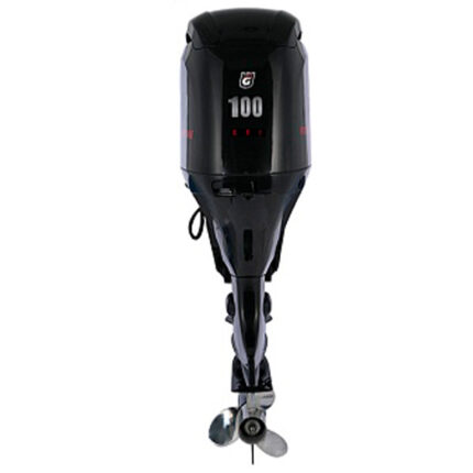 1 Лодочный мотор GOLFSTREAM F100FEX-T-EFI
