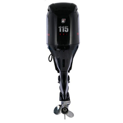 1 Лодочный мотор GOLFSTREAM F115FEX-T-EFI-L (для спарки)