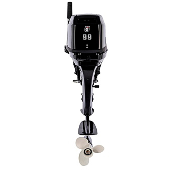 1 Лодочный мотор GOLFSTREAM T 9.9 BMS USB