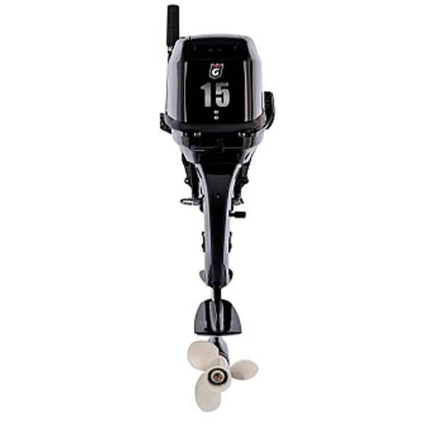 1 Лодочный мотор GOLFSTREAM T 15 BMS