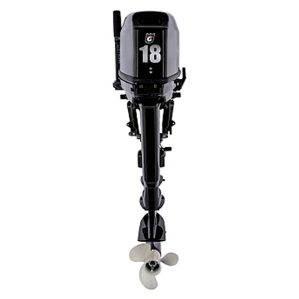 1 Лодочный мотор GOLFSTREAM T 18 BMS