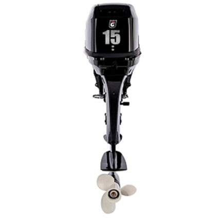 1 Лодочный мотор GOLFSTREAM T 15 FWS