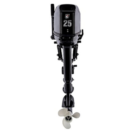 1 Лодочный мотор GOLFSTREAM T 25 BMS