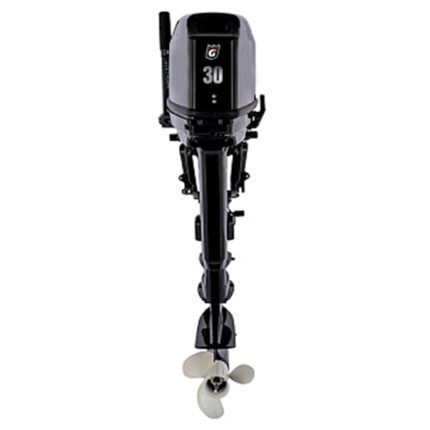 1 Лодочный мотор GOLFSTREAM T 30 ABMS