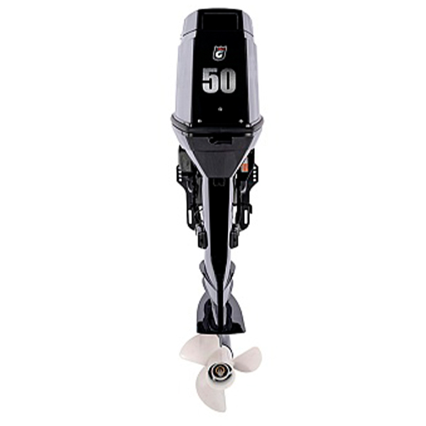 Лодочный мотор GOLFSTREAM T 50 FWL-T