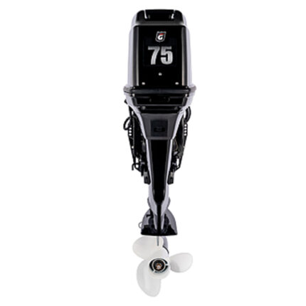 1 Лодочный мотор GOLFSTREAM T 75 FEL-T