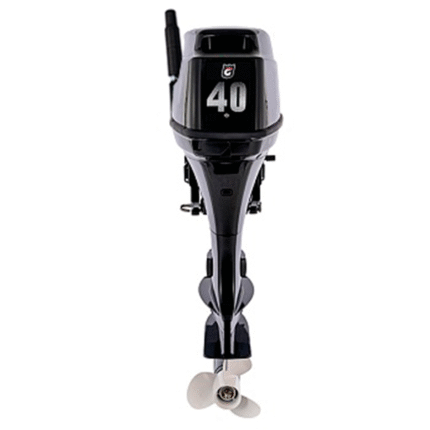 1 Лодочный мотор GOLFSTREAM T 40 BMS