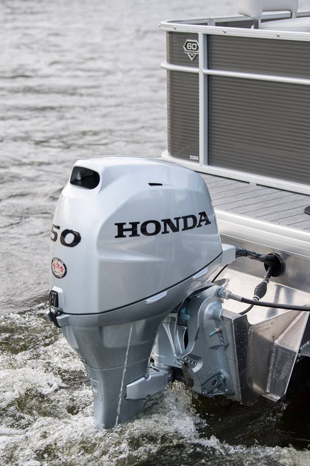 31964169_10156309523540917_1845647614318477312_n Лодочный мотор Honda BF50DK4 SRTU
