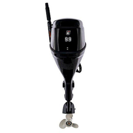 641666b7c43d31ab6cbb3bfd928d8834 Лодочный мотор GOLFSTREAM F9.9BMS