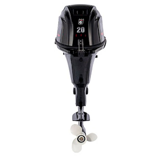 ba6742dae299c178ec4e7a43be16d16f Лодочный мотор GOLFSTREAM F20AFWS-EFI