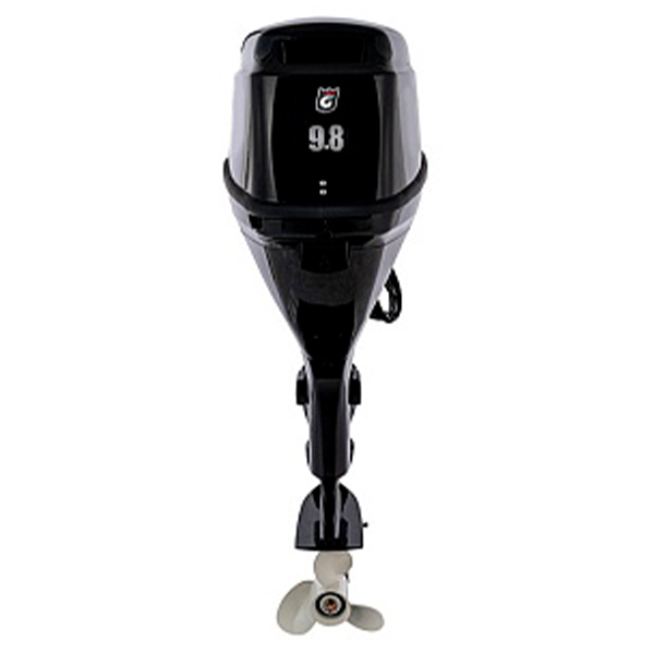 Лодочный мотор GOLFSTREAM F9.8FWS