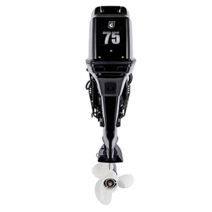 yz0rwt5wat3tzfgvtyze7o39kme2crgp Лодочный мотор GOLFSTREAM T 75 FEX-T